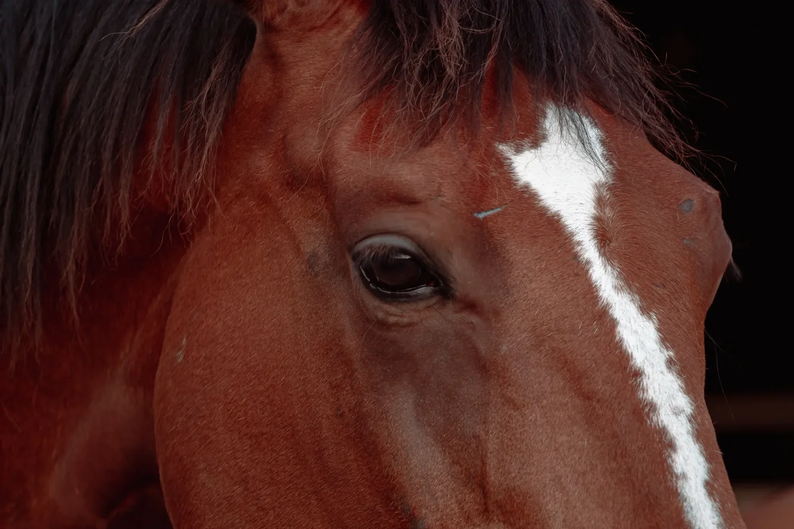 nature photography by JRMGraphy